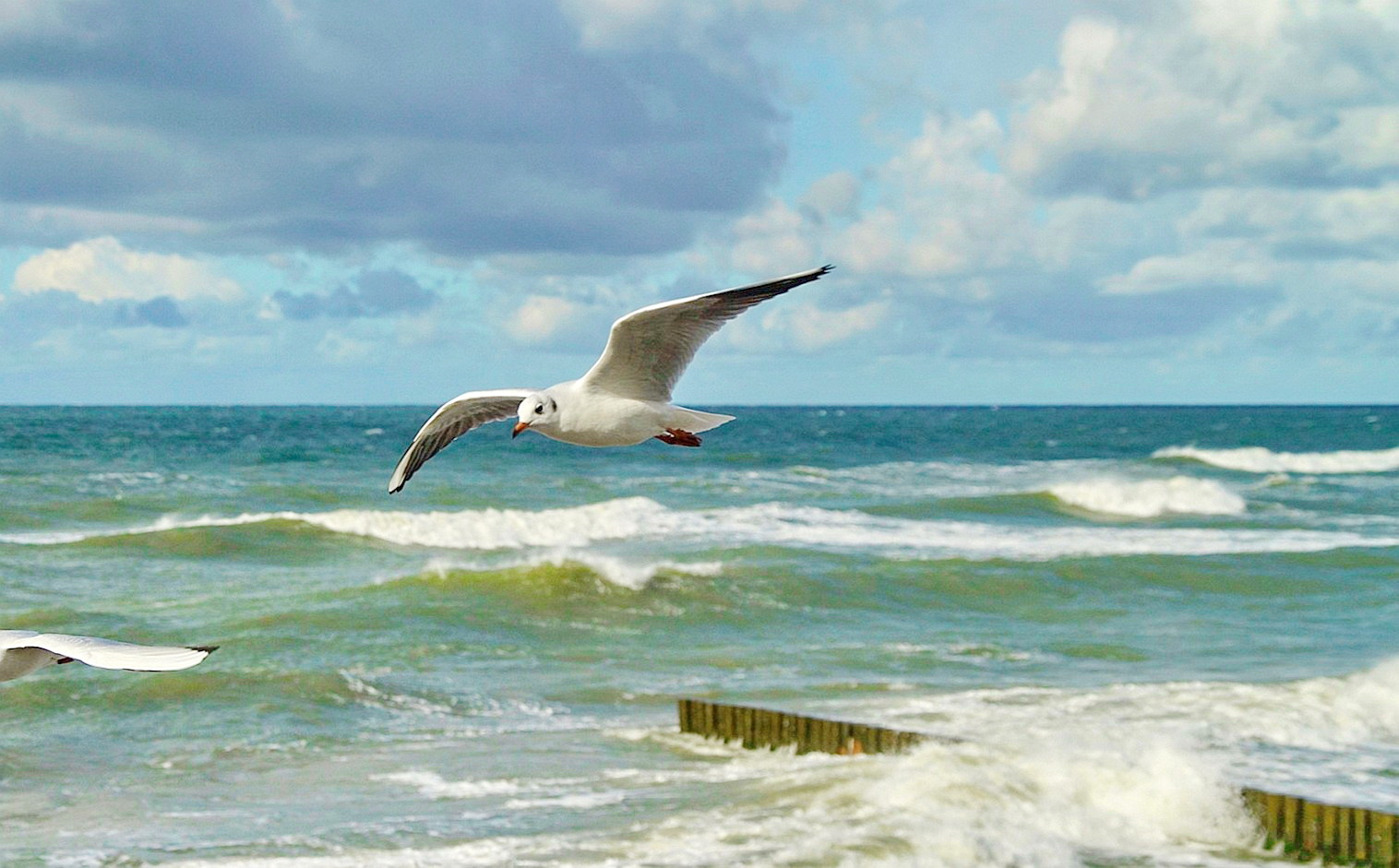 Вступили в силу пересмотренные Регламенты ЕС по сокращению выбросов ПГ