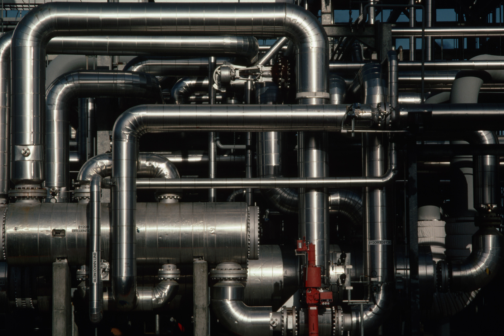 RS experts to take part in SSE 12