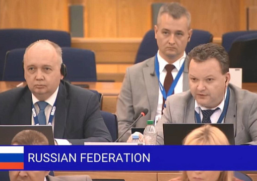 Обзор участия РС в ИМО III 11