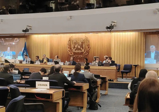 Looking back on IMO III 12
