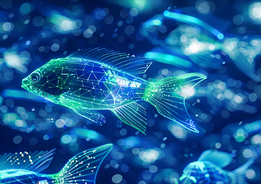 Cape Town Agreement to Enter into Force in 2027