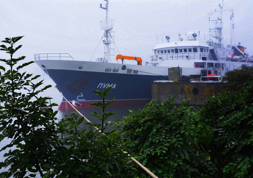 Класс РС: под техническим наблюдением РС проводятся ходовые испытания краболовного судна «Пума» проекта 03141