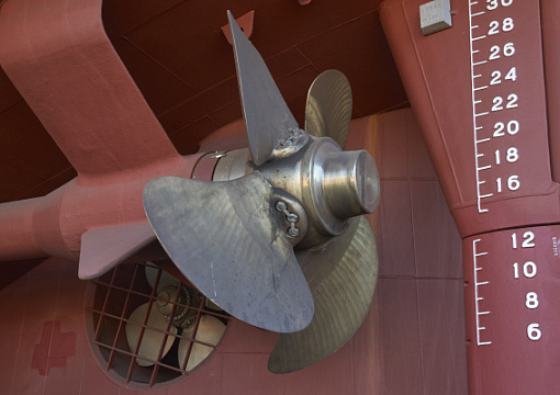 Директор Архангельского филиала РС выступил на II Форуме «Арктика – Регионы» 